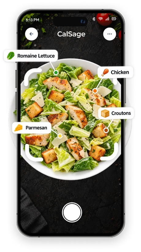 CalSage food scan identifying romaine, chicken, parmesan, and croutons in a Caesar salad